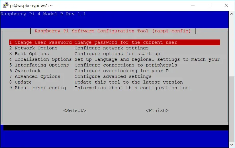 Raspberry Pi Setup